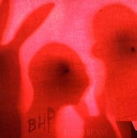 Blood Bunny/Black Rabbit