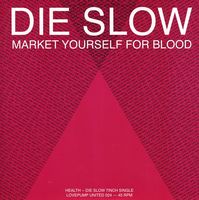 Die Slow/Pictureplane Rmx