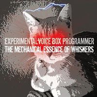 The Mechanical Essence Of Whiskers