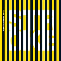 Stroke: Songs For Chris Knox / Various