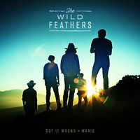 The Wild Feathers - Got It Wrong/Marie