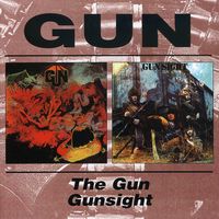 Gun/Gunsight