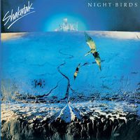 Night Birds