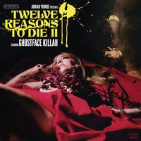 Adrian Younge Presents Twelve Reasons To Die II