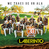 Me Traes De Un Ala
