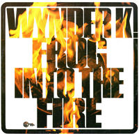 Into The Fire (Bonus Tracks)