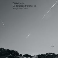 Chris Potter Orchestra
