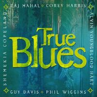 True Blues / Various