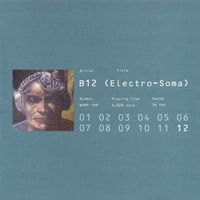 Electro-Soma (Gate)