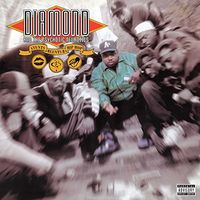Stunts, Blunts & Hip Hop