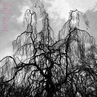 Colin Stetson & Sarah Neufeld - Never Were The Way She Was [Vinyl]