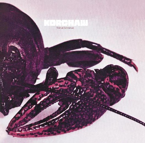 Kershaw (Genus Cambarus)