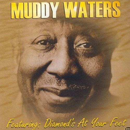 Muddy Waters