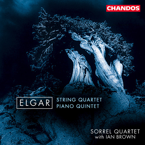 Sorrel Quartet - String Quartet / Quintet for Piano & Strings