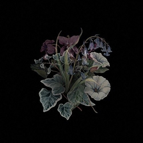 Wildflowers (Blk) (Gate)