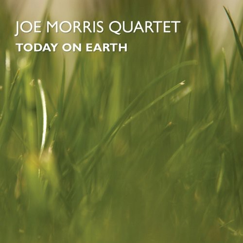 Joe Morris Trio (Guitar) - Today on Earth