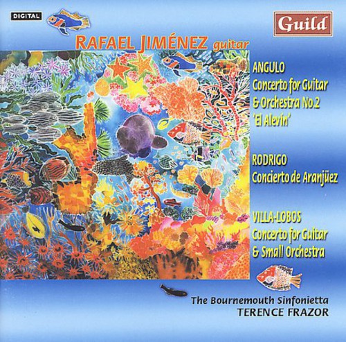 Bournemouth Sinfonietta - Concerto for Guitar & Orchestra 2: Alevin