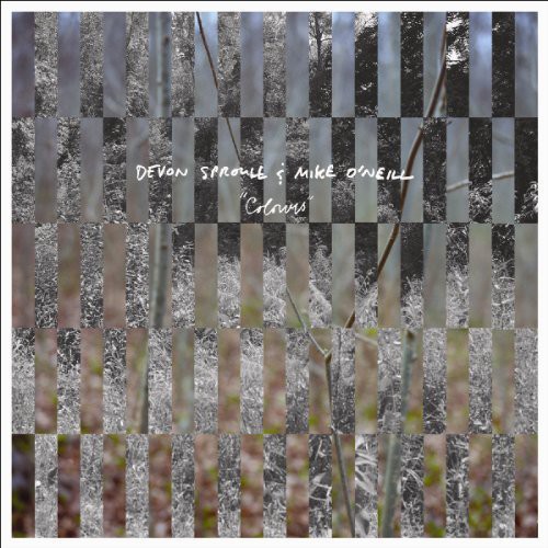 Devon Sproule & Mike Oneill - Colours vinyl record cover