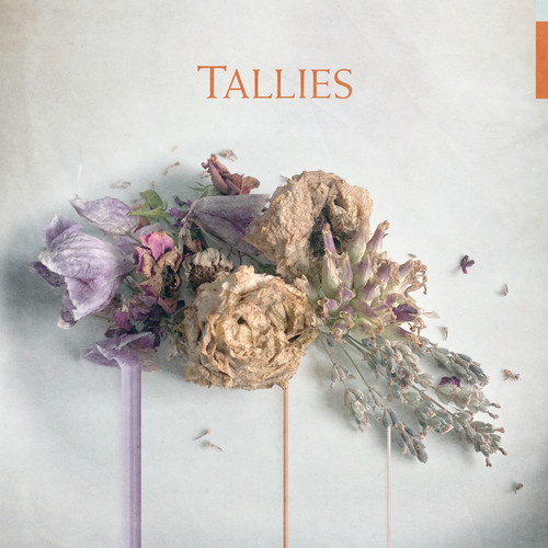 Tallies - Tallies vinyl record cover