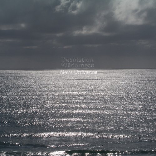 Desolation Wilderness - New Universe vinyl record cover