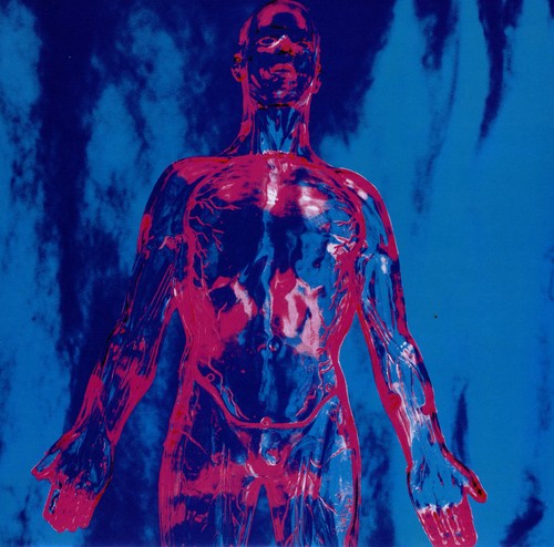 Nirvana - Sliver vinyl record cover
