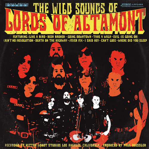 Lords Of Altamont - Wild Sounds Of Lords Of Altamont vinyl record cover