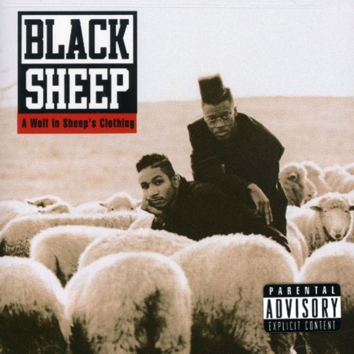 Black Sheep - Wolf in Sheep's Clothing