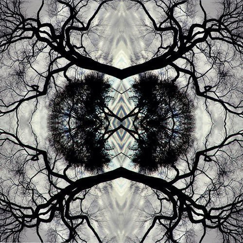 Adam Rudolph - Sonic Mandala Go: Organic Orchestra vinyl record cover