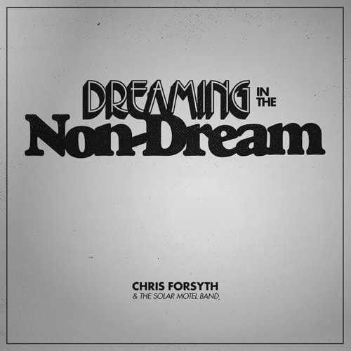 Chris Forsyth & The Solar Motel Band - Dreaming In The Non-Dream vinyl record cover