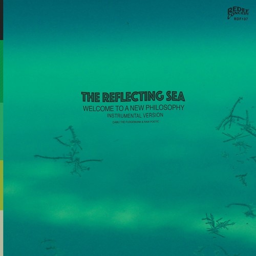 Damu The Fudgemunk & Raw Poetic - Instrumentals From The Reflecting Sea vinyl record cover