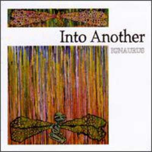 Into Another - Ignaurus vinyl record cover