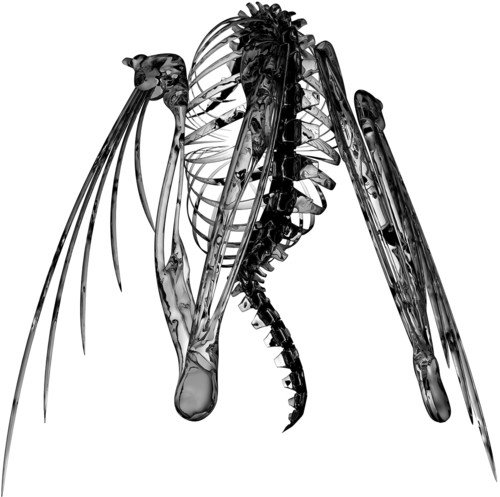 Lotic - Heterocetera vinyl record cover