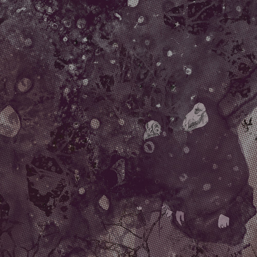 Pinkish Black - Razed To The Ground vinyl record cover