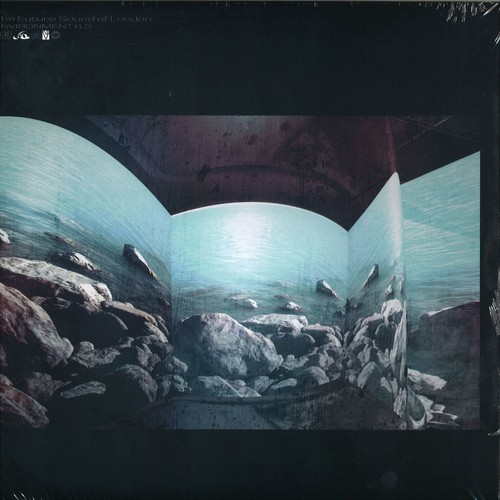 Future Sound Of London - Environment 6.5 vinyl record cover