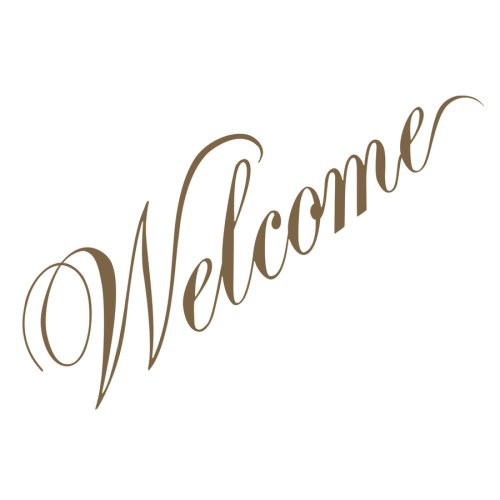 Carlos Santana - Welcome vinyl record cover