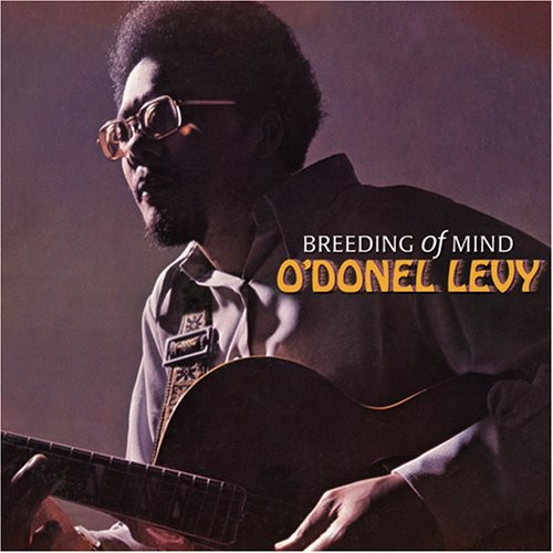 ODONEL LEVY - Breeding Of Mind vinyl record cover