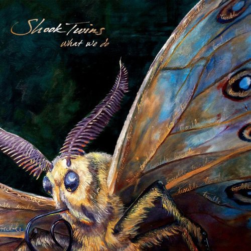 Shook Twins - What We Do vinyl record cover