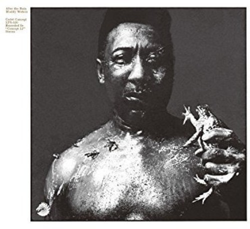 Muddy Waters - After The Rain vinyl record cover