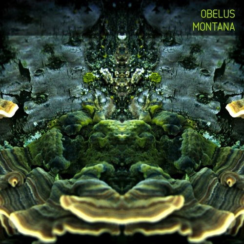 OBELUS - Montana vinyl record cover