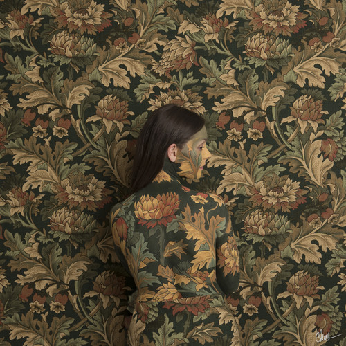 Honeyblood - In Plain Sight vinyl record cover