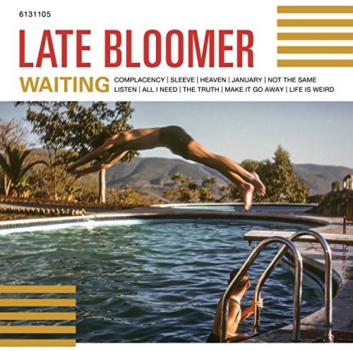 Late Bloomer - Waiting vinyl record cover