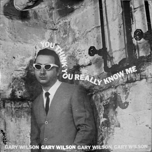 Gary Wilson - You Think You Really Know Me vinyl record cover