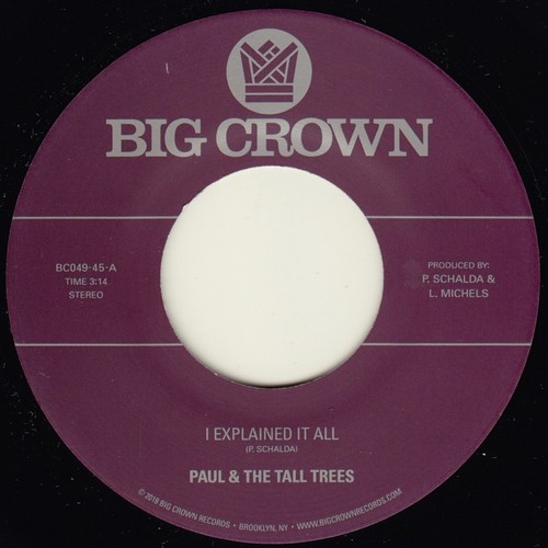 Mattison Paul & Tall Trees - I Explained It All / Watch Out vinyl record cover