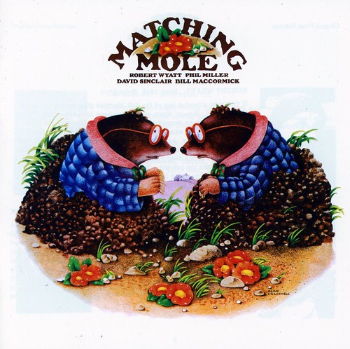 Matching Mole: Expanded Edition