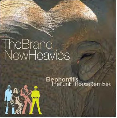 Elephantitis: The Funk and House Remixes