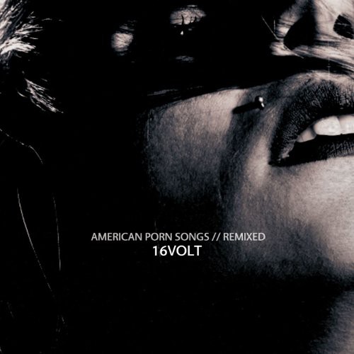 American Porn Songs: Remixed