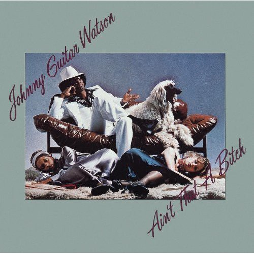 Johnny "Guitar" Watson - Ain't That A Bitch vinyl record cover