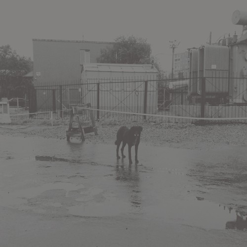Nivhek - After Its Own Death / Walking In A Spiral Towards The House vinyl record cover