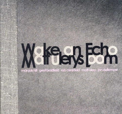 Matt Ulery's Loom - Wake An Echo vinyl record cover