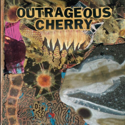 Outrageous Cherry - Universal Malcontents vinyl record cover